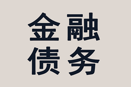 十万元借款无力偿还，可能面临何种刑罚？